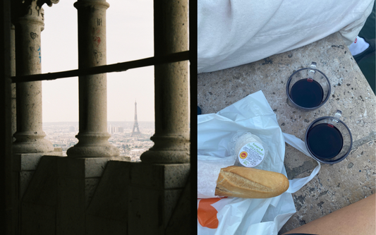 TRAVEL SERIES 3: FRANCE