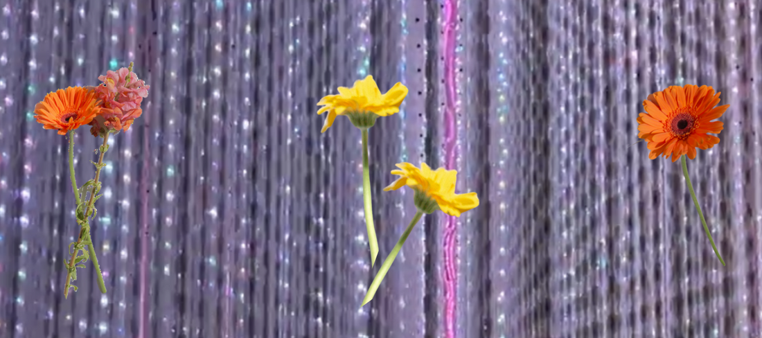 Flowers with a sparkly background