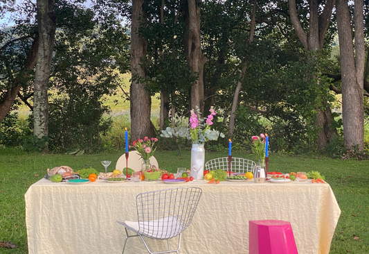 an outdoor dinner party