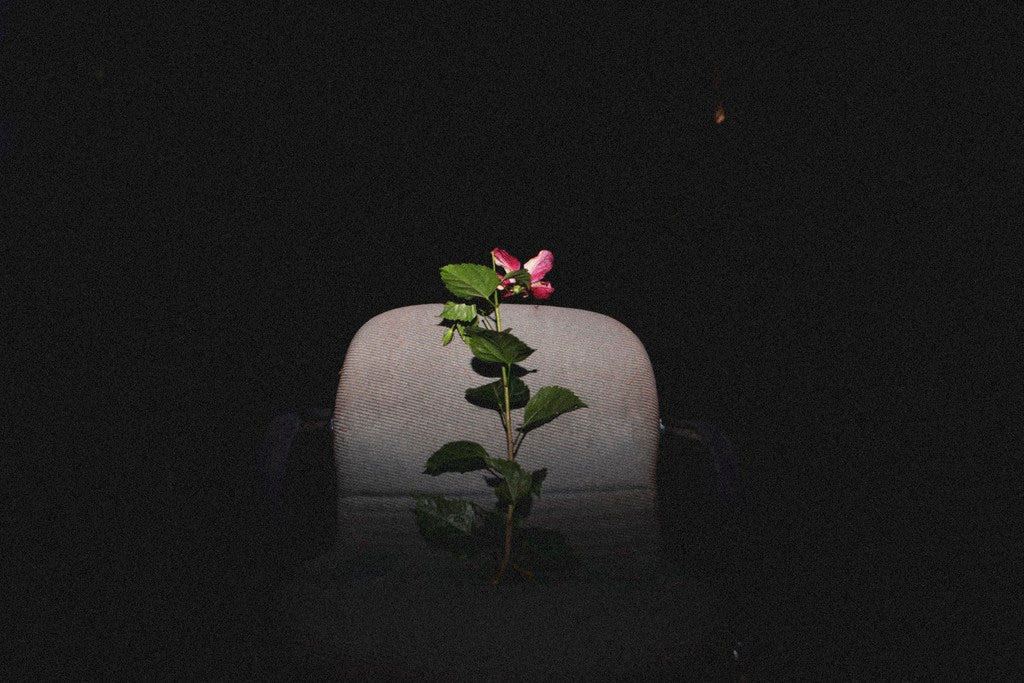 pink flowers on an office chair