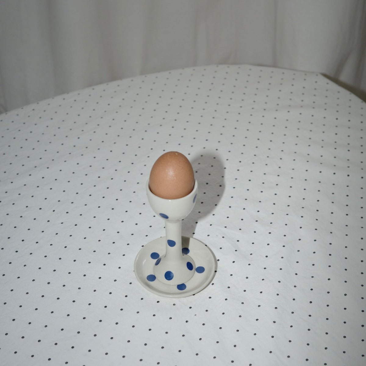 THE POLKA DOT TABLECLOTH