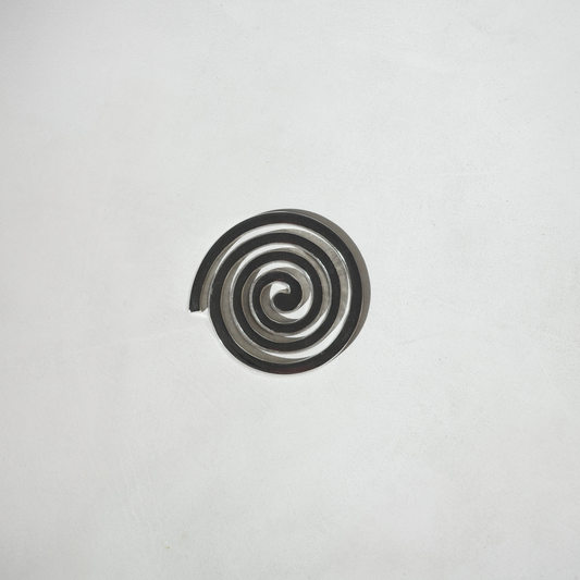 THE SPIRAL COASTER