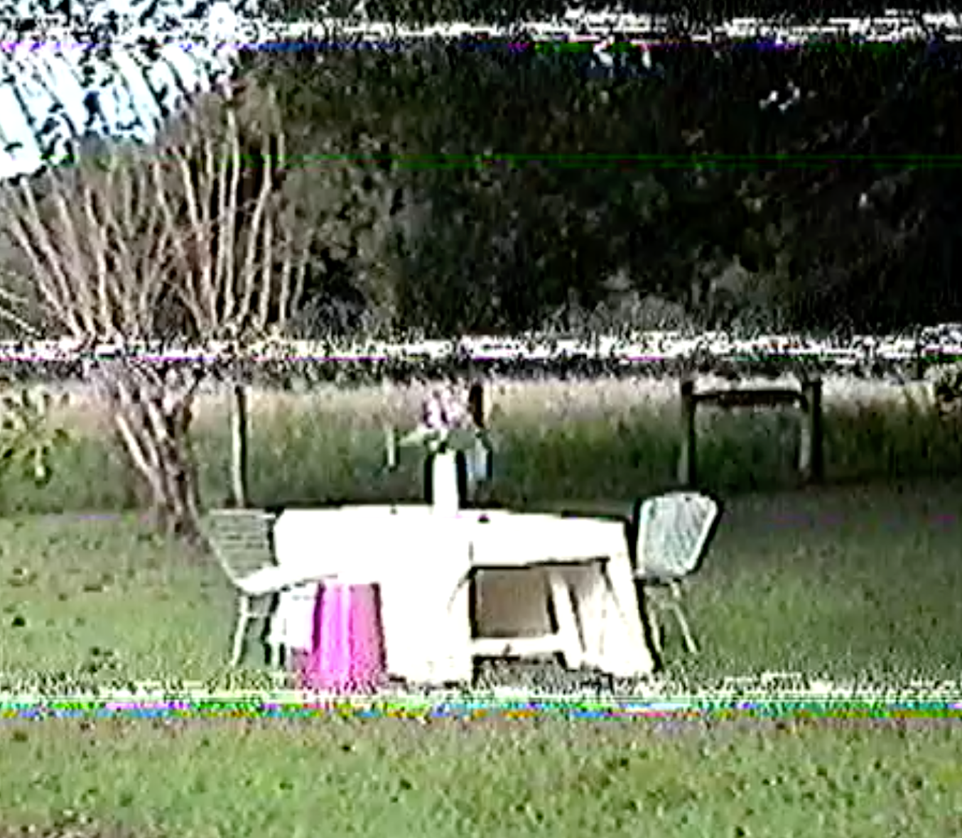 Table in backyard with yellow tablecloth