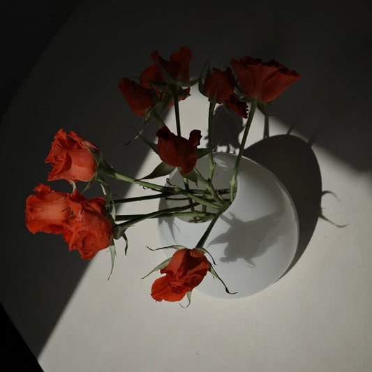 Several red-orange roses arranged in a short white vase on a white surface, photographed from above with strong directional light casting sharp shadows.